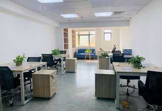 张家港樟木木托盘源头直供