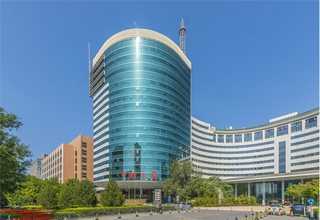 深圳正规的新西兰辐射松木条特点