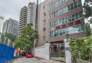 网红绿植墙项目